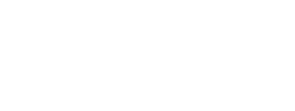 logo_negativ